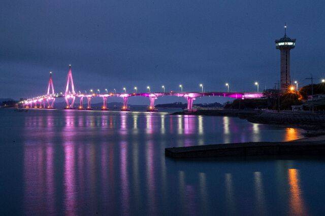 염산면 옥실리 향화도에 세워진 칠산타워 옆 칠산대교가 야간 조명으로 화려한 풍경을 펼쳐놓고 있다.