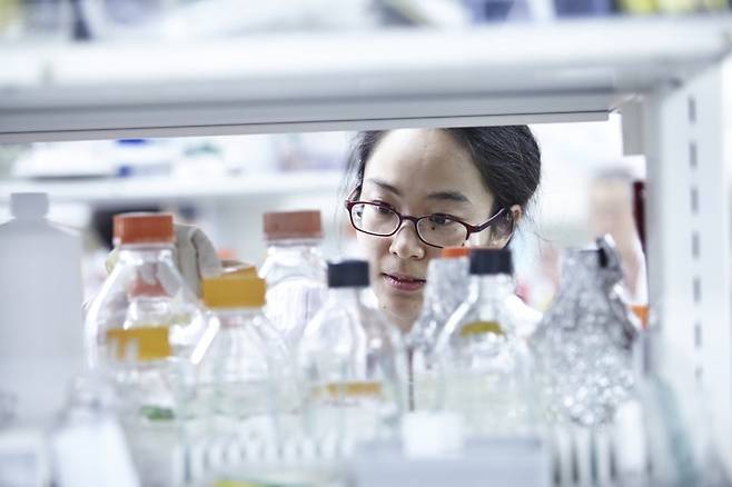과학기술 정부출연연구기관 연구개발 모습.[헤럴드DB]