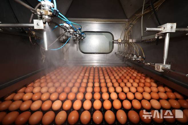 [당진=뉴시스] 이영환 기자 = 16일 충남 당진시 농업회사법인 한솔루트원에서 태국산 신선란 세척작업이 진행되고 있다.한국농수산식품유통공사(aT)는 태국산 신선란 수입을 통해 국내 계란 수급 안정과 소비자 가격 부담 완화에 나선다고 밝혔다. 2026.04.16. 20hwan@newsis.com