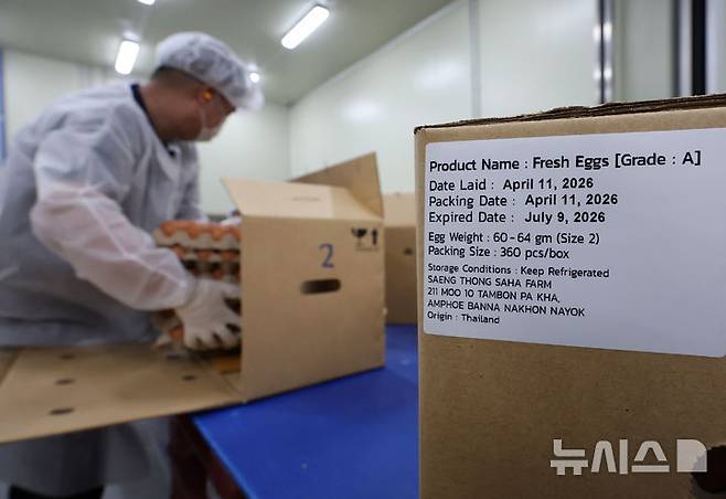 [당진=뉴시스] 이영환 기자 = 16일 충남 당진시 농업회사법인 한솔루트원에서 직원들이 태국산 신선란 포장 제거 작업을 하고 있다.한국농수산식품유통공사(aT)는 태국산 신선란 수입을 통해 국내 계란 수급 안정과 소비자 가격 부담 완화에 나선다고 밝혔다. 2026.04.16. 20hwan@newsis.com