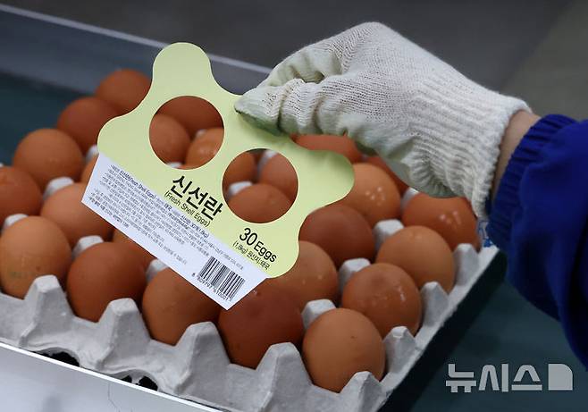 [당진=뉴시스] 이영환 기자 = 16일 충남 당진시 농업회사법인 한솔루트원에서 직원들이 태국산 신선란 포장 작업을 하고 있다.한국농수산식품유통공사(aT)는 태국산 신선란 수입을 통해 국내 계란 수급 안정과 소비자 가격 부담 완화에 나선다고 밝혔다. 2026.04.16. 20hwan@newsis.com