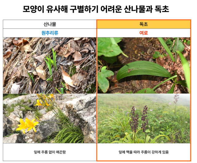 식품의약품안전처·산림청 국립수목원