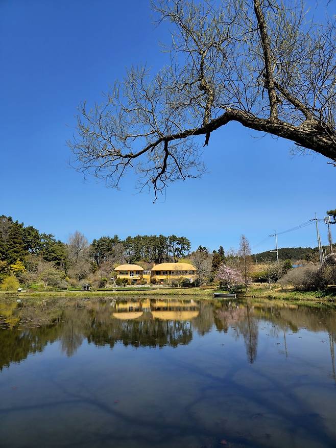 밀러가든 큰 연못과 민병갈 기념관.