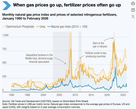 천연가스 가격(파란색) 상승 시 비료 가격(주황)도 종종 올라간다 [UNCTAD 자료. 김은경 제공. 재판매 및 DB 금지]