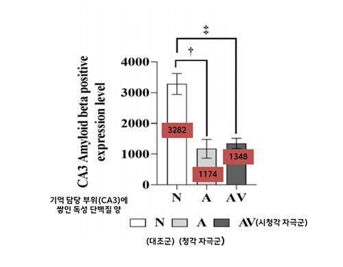 뇌 해마 영역 정밀 분석 결과 그래프 [한림대춘천성심병원 제공. 재판매 및 DB 금지]