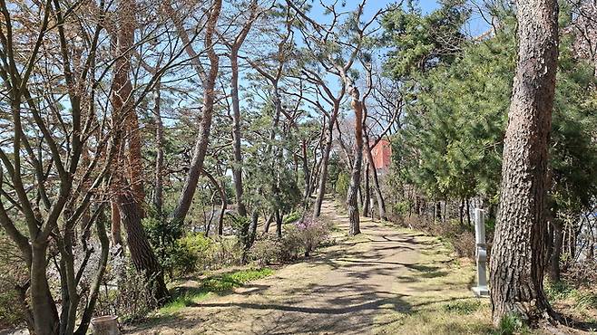 구 김포성당 십자가의 길. 박찬희