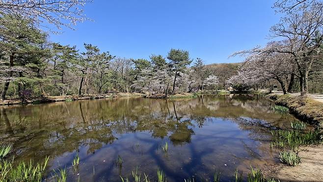 김포 장릉 재실 곁의 연못 풍경. 박찬희