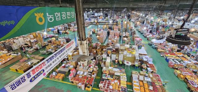 부산 해운대구 반여농산물도매시장은 매일 새벽 전국 각지에서 200여 종의 과일과 채소가 거래된다. 김한수 기자 hangang@