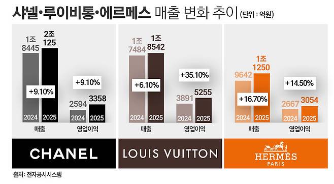 샤넬·루이비통·에르메스의 국내 매출액을 합산하면 5조원에 육박한다. / 그래픽 = 정승아 디자이너