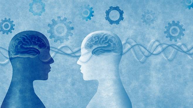 남성과 여성의 뇌는 3,000개 이상의 유전자가 서로 다르게 켜지고 꺼진다는 연구 결과가 나왔다 | 출처: 클립아트코리아