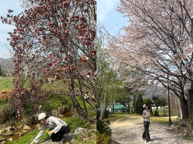 이영애. 사진| 본인 SNS