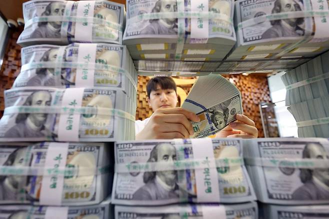 서울 중구 하나은행 위변조대응센터에서 은행 관계자가 달러화를 정리하는 모습. ⓒ뉴스1