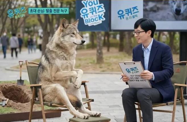 이달 8일 대전 동물원 오월드에서 탈출한 늑대 ‘늑구’가 탈출 9일 만인 17일 생포되자 이른바 ‘늑구 밈(meme·온라인 유행 콘텐츠)’이 온라인에서 확산했다. 밈 제작자들은 늑구의 탈출 과정, 향후 모습 등을 상상해 인공지능(AI) 이미지로 나타냈다. 온라인 커뮤니티 갈무리