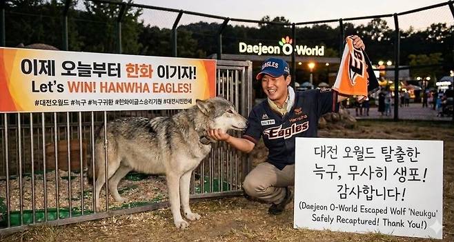 이달 8일 대전 동물원 오월드에서 탈출한 늑대 ‘늑구’가 탈출 9일 만인 17일 생포되자 이른바 ‘늑구 밈(meme·온라인 유행 콘텐츠)’이 온라인에서 확산했다. 밈 제작자들은 늑구의 탈출 과정, 향후 모습 등을 상상해 인공지능(AI) 이미지로 나타냈다. 온라인 커뮤니티 갈무리