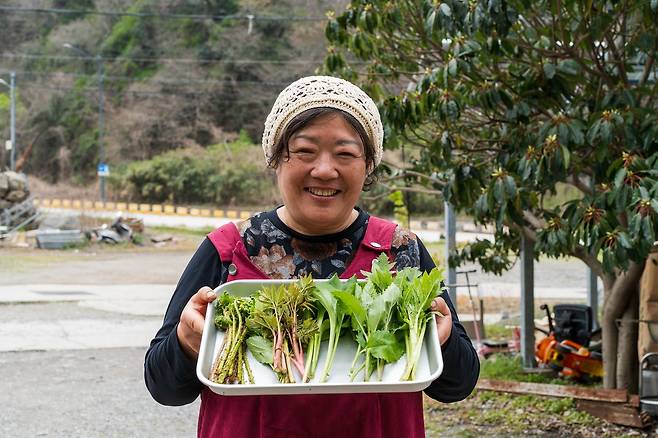 참고비·삼나물·엉겅퀴 등 갓 뜯은 봄나물을 든 ‘예향’의 이순자 사장.