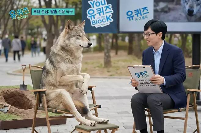 인기 예능 ‘유퀴즈’에 늑구가 출연한 모습. 인공지능(AI) 생성 이미지다. [더쿠 갈무리]