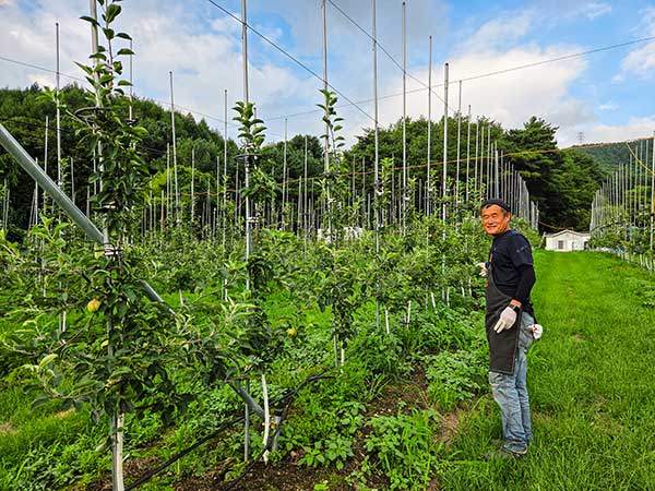 용구니 아지트 대미를 장식한 사과농장. 작년 첫 수확의 기쁨을 맛 본 정 대표는