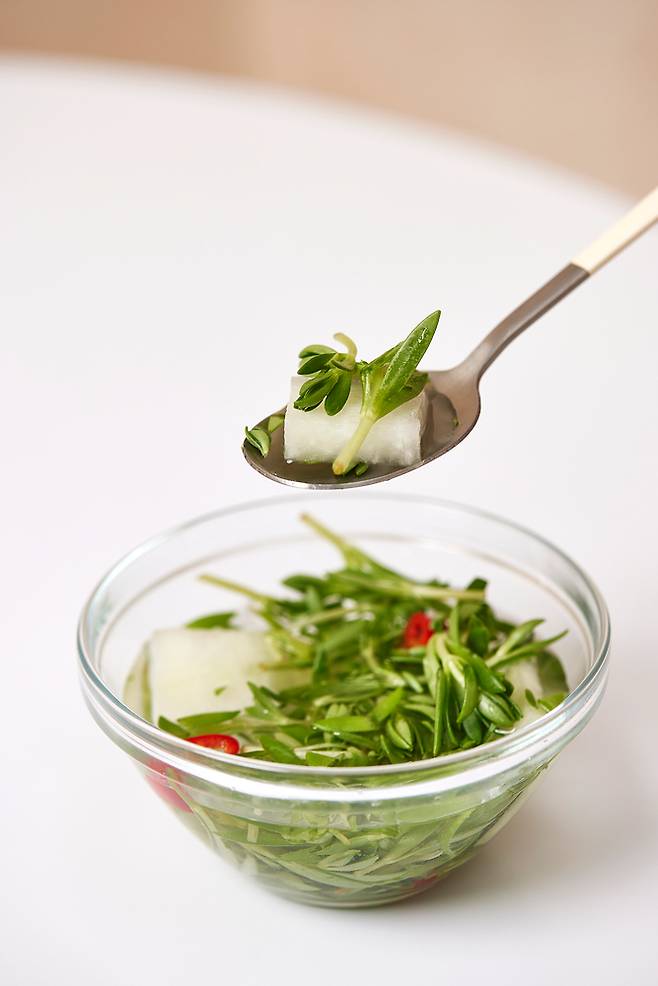 돌나물과 무, 마늘, 고추 등을 넣고 시원하게 숙성시키면 청량한 국물 맛이 특징인 돌나물 물김치가 완성된다.&nbsp;클립아트코리아 제공