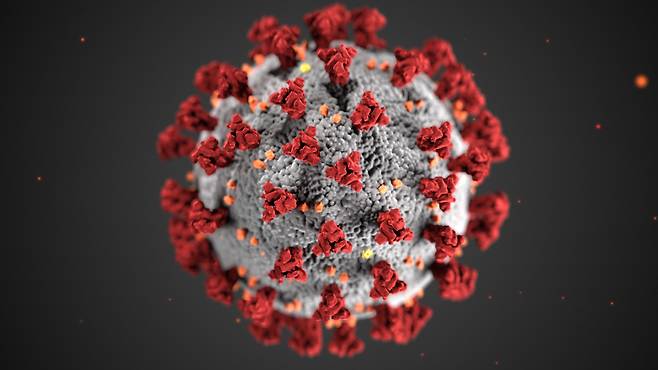 신종 코로나 바이러스의 구조를 실제와 비슷하게 구현한 3D 이미지. 사진=CDC 갈무리
