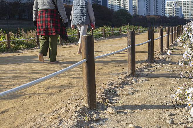 클립아트코리아