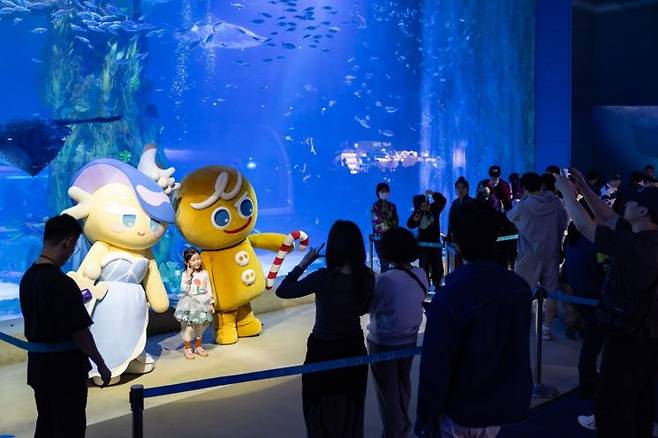 롯데월드 아쿠아리움이 데브시스터즈의 대표 지식재산권(IP) '쿠키런'과 오는 6월7일까지 봄 시즌 축제 '쿠키런 in 롯데월드 아쿠아리움: 바다모험전'을 선보이는 가운데 관람객들이 메인수조에서 기념촬영하고 있다. 롯데월드 제공쿠키런 in 롯데월드 아쿠아리움_ 바다모험전' 흥행_메인수조 포토타임.