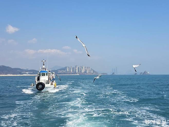 태종대 유람선을 타면 섬이 5개 또는 6개로 보인다는 오륙도를 바다에서 감상할 수 있다. 부산=전승훈 기자 raphy@donga.com