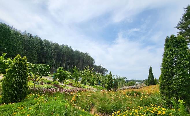 충남 서해안의 대표적 관광 명소인 안면도에 자연의 아름다움과 치유 기능을 동시에 담아낸 체류형 힐링 공간 '안면도 지방정원'이 문을 연다. 6월 정식 개장을 앞두고 25일 시범 운영에 들어간다. [사진 충남도]