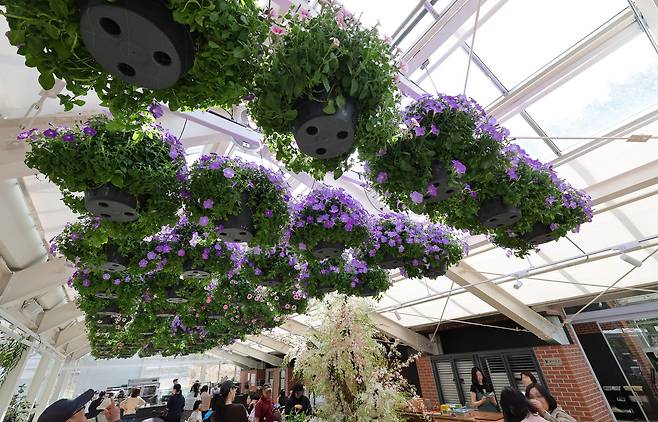 불암산 힐링타운 내 카페. 강정현 기자