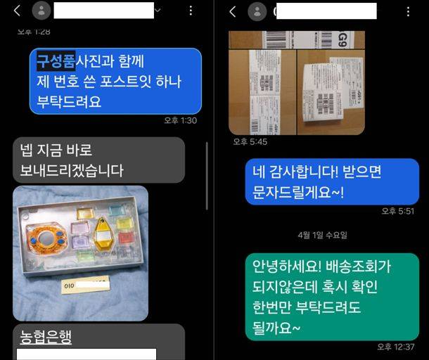 AI 생성 이미지를 활용한 중고거래 사기 피해자와 피의자와의 채팅 내용. 사진 독자
