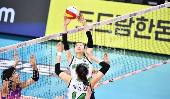 현대건설 세터 김다인. 사진 한국배구연맹