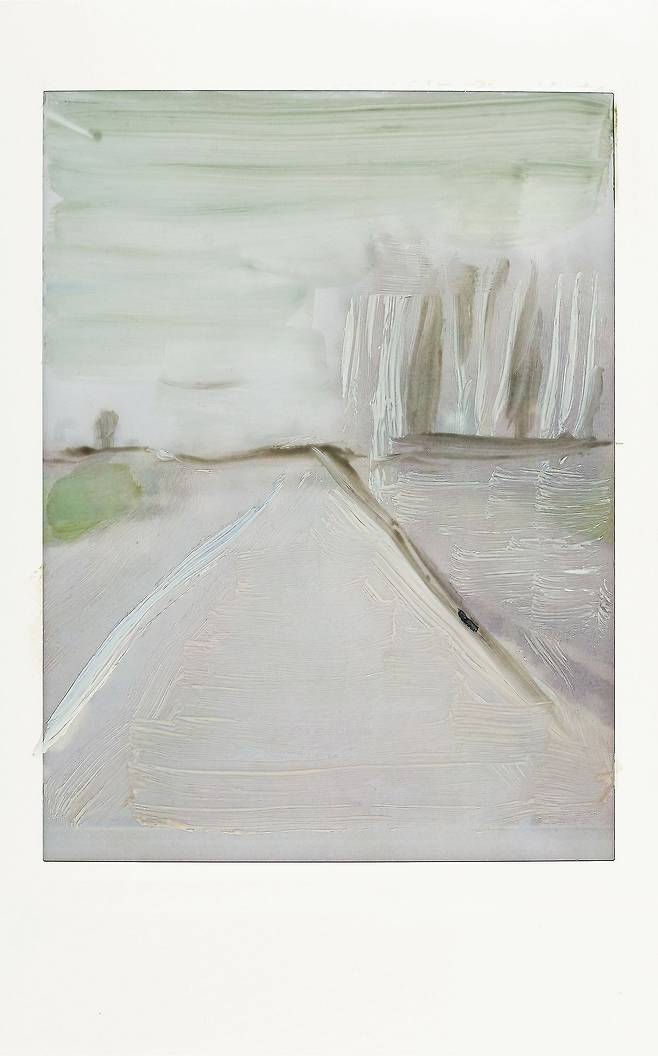 Meditation on the Road 길 위에서, 폴라로이드 위에 유채, 85x53㎜, 2017년. [사진 뮤지엄한미]