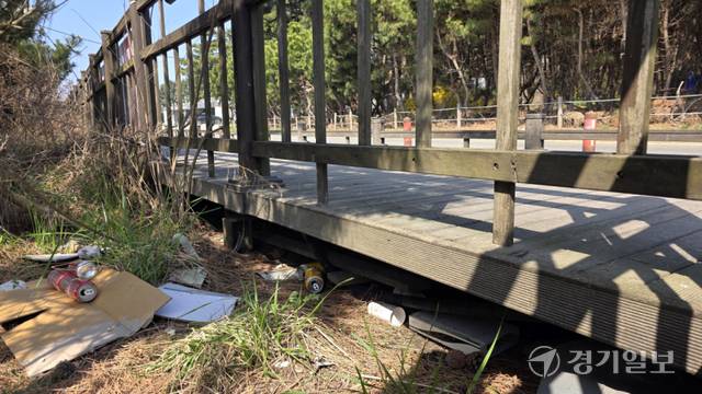 17일 오전 인천 중구 용유동 거잠포해변 보행로 우드데크 아래와 주변 풀숲에 빈 캔 등 쓰레기가 널브러져 있다. 장민재기자