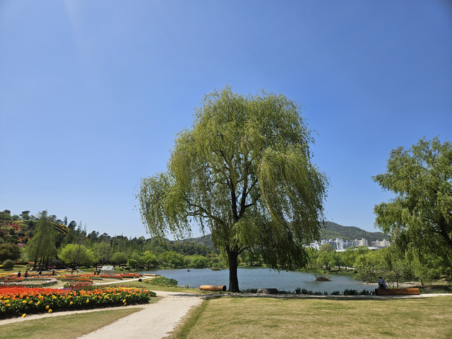 물멍을 즐기기 좋은 순천만WWT습지.