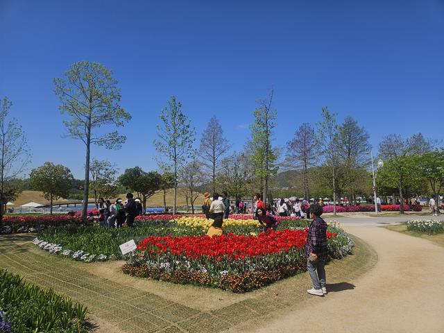 꽃을 즐기는 관광객.