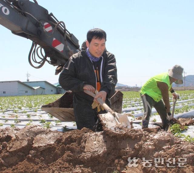 박성진씨(왼쪽)가 고아농협으로부터 캄보디아 노동자 1명을 배정받아 함께 감자밭 배수로를 정비하고 있다.