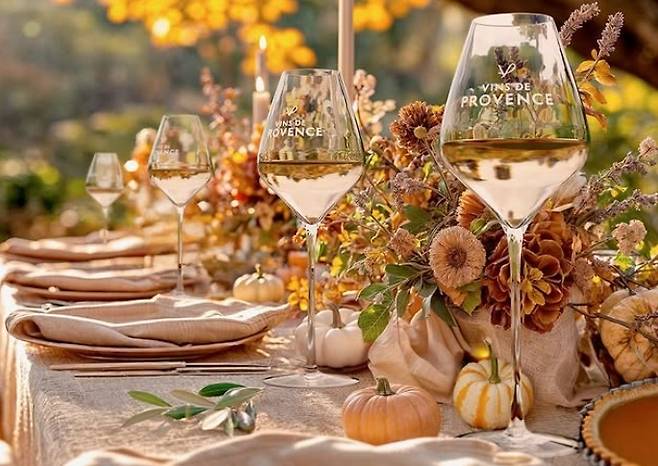 프로방스 로제. 프로방스와인협회 인스타그램