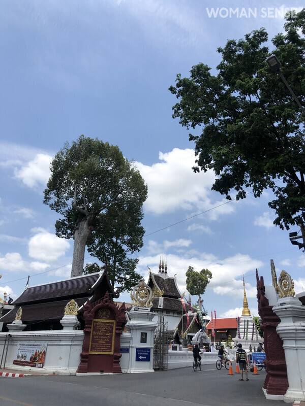 사진&nbsp;최윤성&nbsp;