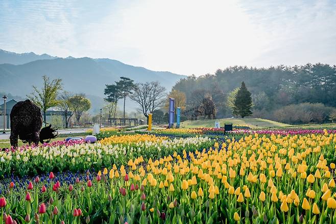 백두대간수목원 광장 [수목원 제공.재판매 및 DB 금지]