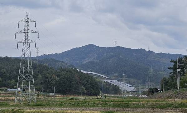 고성그린파워 사업장이 있는 고성군 하이면 평지와 산 곳곳에서 송전로를 연결하는 송전탑이 세워져 있다. 하이면사무소 근처 송전탑 모습. /정봉화 기자