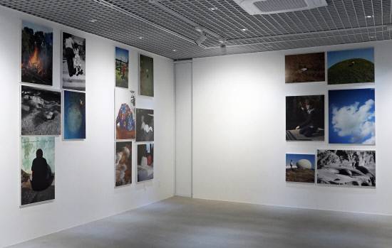 이언경 '태양아래 죽은거목 등을꺾어 매미-울고' 전시 모습. 백지영기자