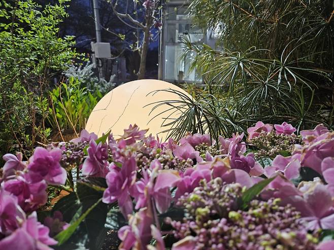 ‘가끔 비’ 오후부터 맑음…낮 최고 24도[내일날씨]=월요일인 내일(20일) 날씨는 전국이 새벽부터 흐려지겠으나, 밤부터 수도권과 강원도는 차차 맑아지겠다. 아침 최저기온은 10~15도, 낮 최고기온은 16~24도가 되겠다. 오전부터 수도권과 강원 내륙.산지, 충남, 제주도, 오후부터 그 밖의 충청권과 전라권, 경북 북부 내륙, 경남 서부 내륙에 비가 내리다가 저녁에 대부분 그치겠다. 비가 내리면서 일부 지역의 건조특보는 해제될 가능성이 있다. ⓒbnt뉴스: 오늘날씨, 내일날씨, 주간날씨 예보&nbsp;