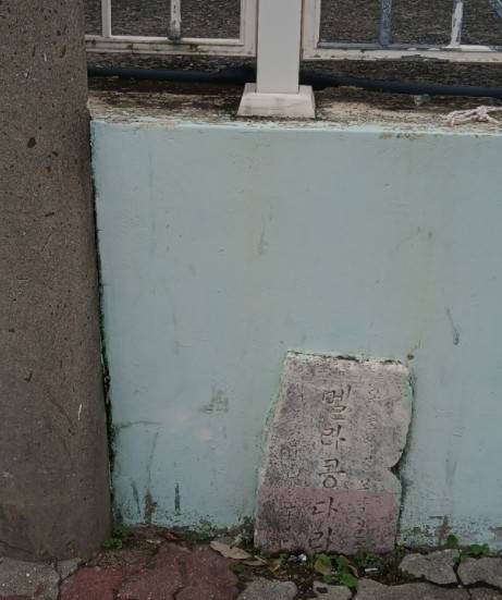 목포역 택시 승차장 뒤편 담벼락에 잔해처럼 박힌 멜라콩 다리. 손영득씨 제공