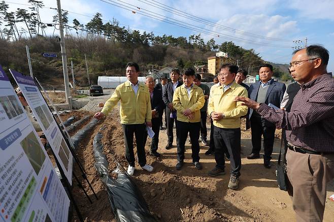[서울=뉴시스] 황준선 기자 = 이승돈 농촌진흥청장이 15일 강원 평창군 여름배추 재배지를 찾아 ‘씨스트선충’ 방제 추진 상황을 점검하고 있다. (사진=농촌진흥청 제공) 2026.04.15. photo@newsis.com *재판매 및 DB 금지