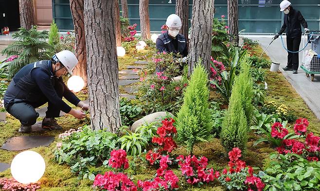 제1 여객터미널 밀레니엄홀 화단에서 조경 담당 직원들이 꽃을 가꾸고 있다.