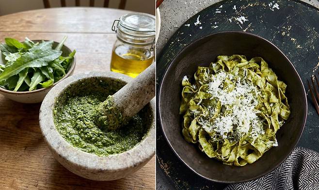 씀바귀를 살짝 데친 뒤 올리브오일, 견과류, 마늘, 치즈와 함께 갈아 소스로 만든 후 파스타나 샌드위치에 곁들이면 된다. 왼쪽은 씀바귀 페스토, 오른쪽은 파스타 이미지. 구글제미나이생성이미지, 클립아트코리아 제공
