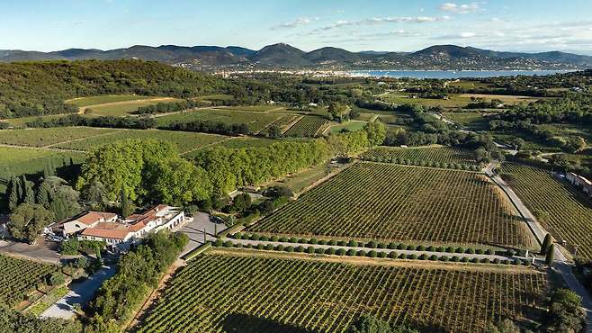 샤토 미누티 전경. 홈페이지