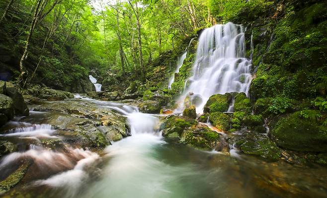 지리산 뱀사골의 봄_클립아트코리아 제공