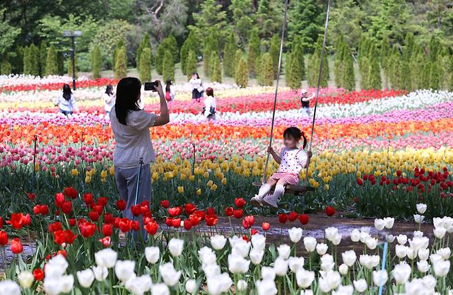 ▲ 20일 대구 달서구 이월드 튤립가든을 찾은 시민들이 봄 정취를 느끼며 그네를 타고 있다. 튤립을 테마로 한 특별 콘텐츠 '튤립트래블'은 4월 30일까지 진행된다. 권남인 기자 kni@kyongbuk.com