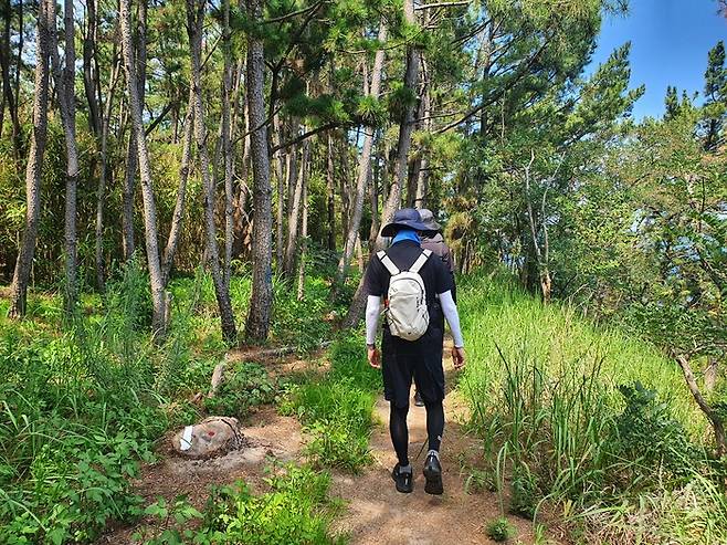 이세동(35)씨가 지인과 함께 죽령옛길 숲길을 걷고 있다. 영주 동서트레일 41-1구간은 걷는 재미와 쉬는 맛, 옛길의 정취를 한 번에 품고 있다. <권기웅기자>