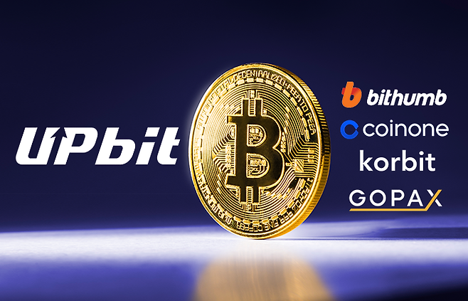 그래픽=박혜수 기자